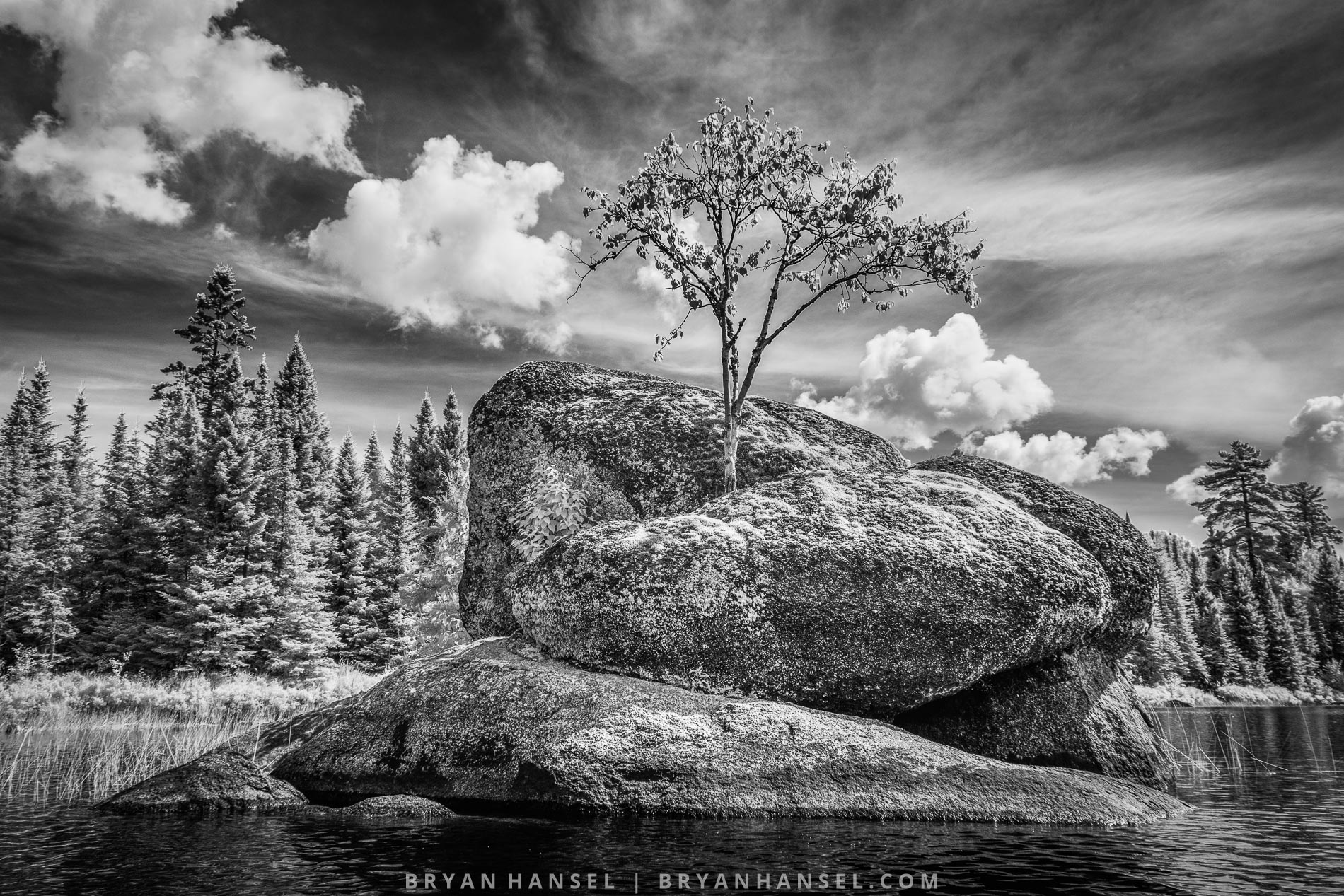 an island with a tree on top under clouds in black and white infrared